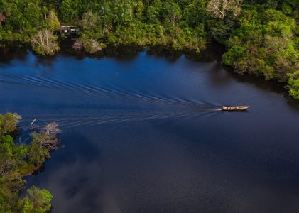 Expérience de la jungle amazonienne brésilienne – 6 jours