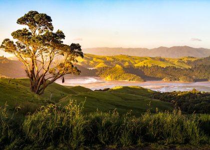 L&rsquo;île du Nord de la Nouvelle-Zélande – 14 jours