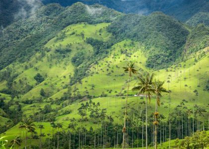 Montagnes, café et merveilles archéologiques de Colombie – 10 jours