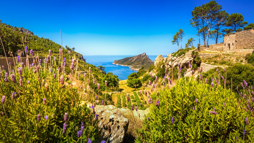 Profitez de la beauté des Baléares : Minorque et Majorque - 10 jours - img