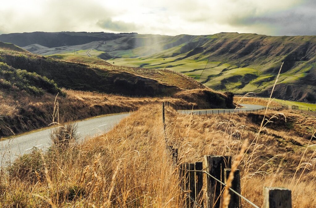 Road Trip durable en Nouvelle-Zélande : Un voyage écologique d'Auckland à Queenstown - 13 jours - img