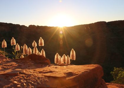 Sydney, Uluru et Port Douglas : Meilleures idées d&rsquo;itinéraires