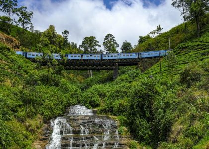 Trains panoramiques, safaris animaliers et hauts lieux culturels au Sri Lanka – 9 jours