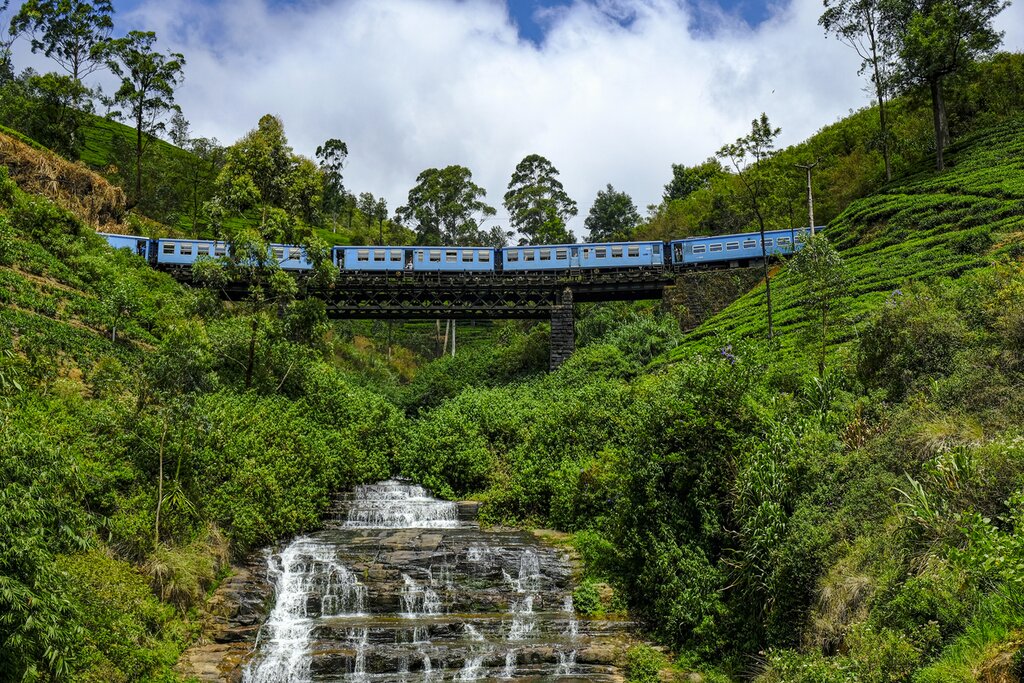 Trains panoramiques, safaris animaliers et hauts lieux culturels au Sri Lanka - 9 jours - img
