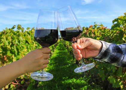 Voyage en voiture à travers la Bourgogne, la vallée de la Loire et la Bretagne – 11 jours