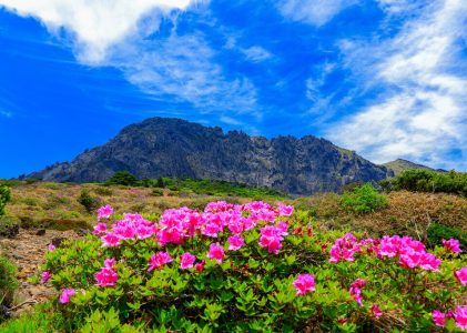 Aventure active en Corée du Sud : randonnée, vélo et rafting – 10 jours