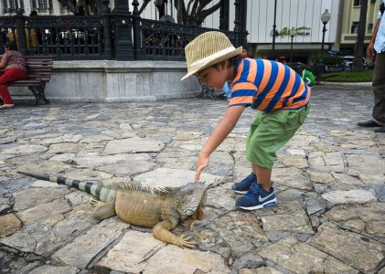 La côte pacifique de l&rsquo;Équateur pour les familles : Culture, nature et plages – 14 jours