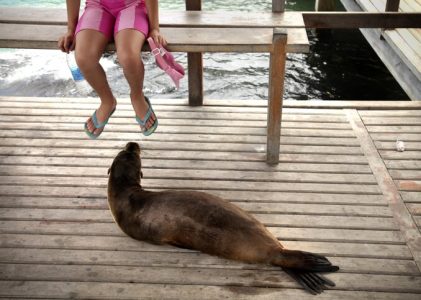 Voyage en famille aux Galápagos : Santa Cruz, Isabela et San Cristóbal – 14 jours