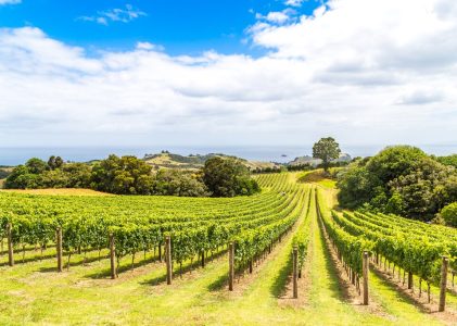 Voyage en Nouvelle-Zélande du nord au sud : Cuisine locale, vin, culture et nature – 19 jours