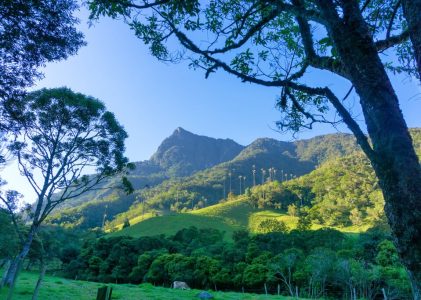 Explorez la région du café et la côte caraïbe de la Colombie : Arménie, Carthagène et Isla Barú – 9 jours