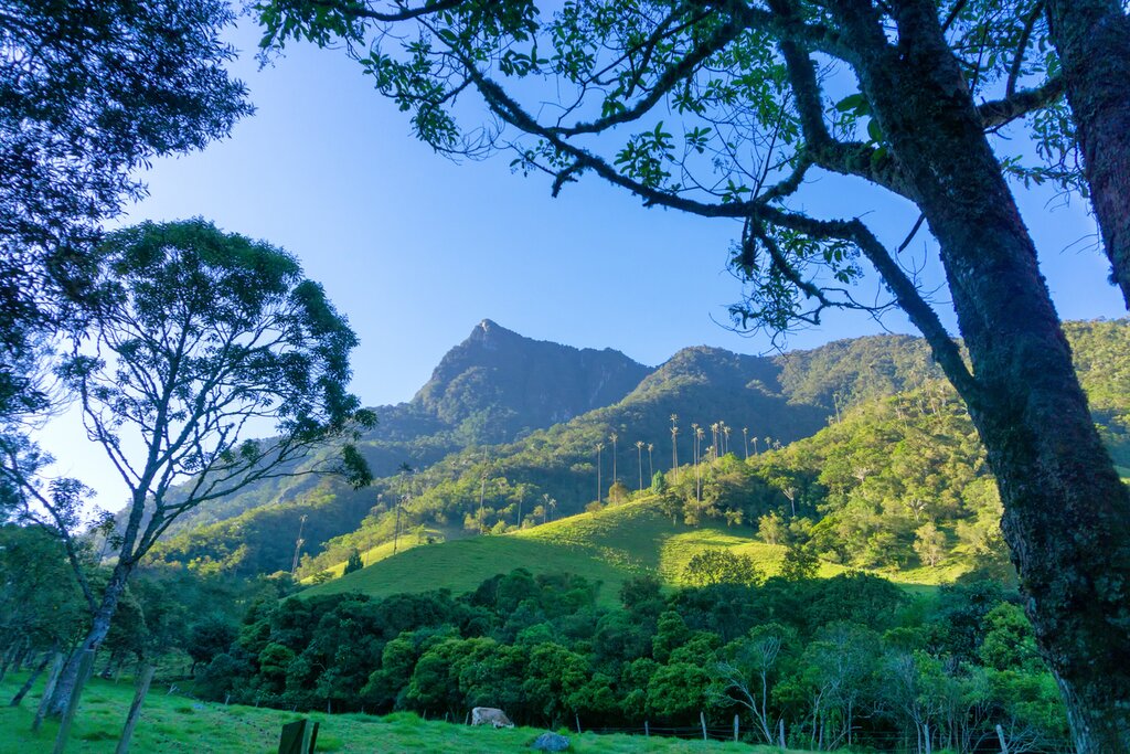 Explorez la région du café et la côte caraïbe de la Colombie : Arménie, Carthagène et Isla Barú - 9 jours - img
